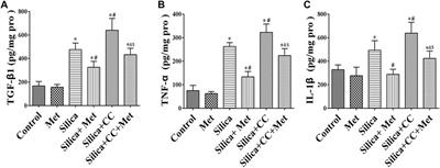 Metformin Attenuates Silica-Induced Pulmonary Fibrosis by Activating Autophagy via the AMPK-mTOR Signaling Pathway